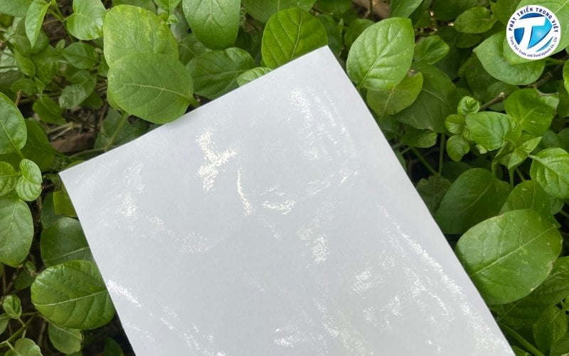 Mua Decal Trong Giá Rẻ Tại Hà Nội | Sỉ Lẻ Với Chính Sách Tốt&nbsp;